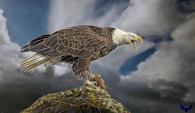 Hancock Bird Meaning