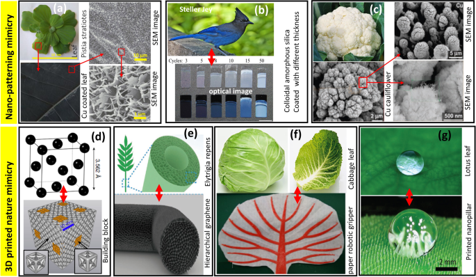 Lessons from Nature: How Animal Behavior Inspires Smart Business Strategies