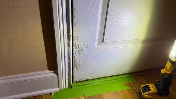 The Real Repair Bill Behind A Dog Owner's Scratched Window Frames