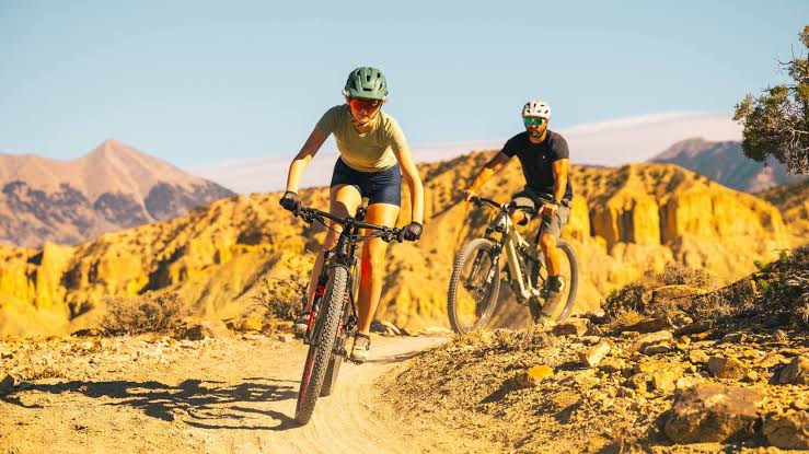 What Trail Runs Taught Me About Choosing The Right Wheels