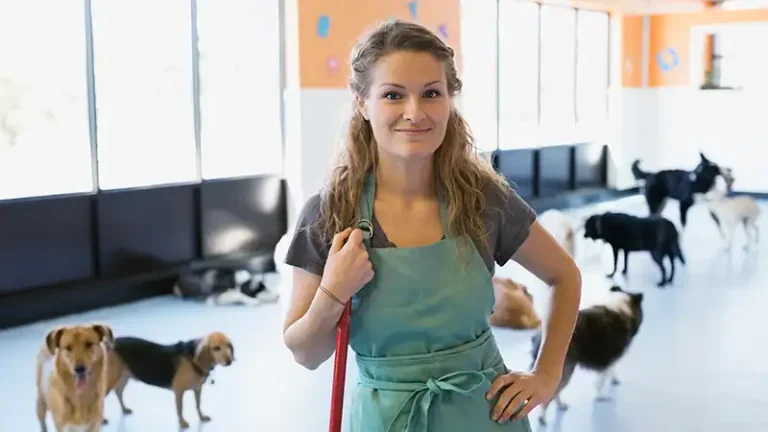 The Ventilation Checklist Every Dog Boarding Facility Should Run