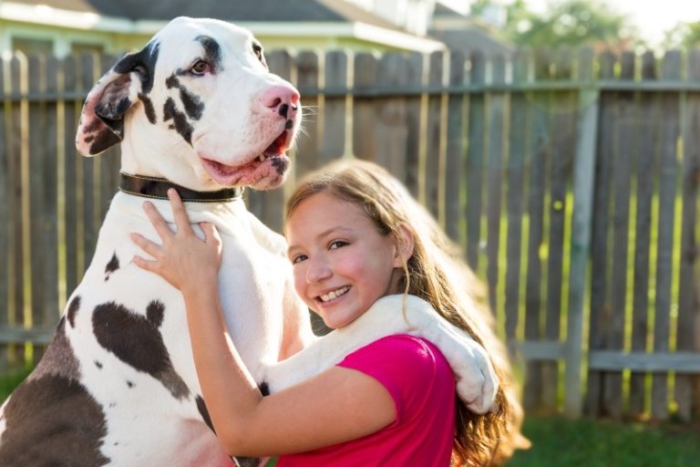 The Myth That One Fence Material Survives A Big Dog Yard