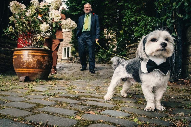 Where The Dog Goes After Photos Decides Which Reception Hall Works