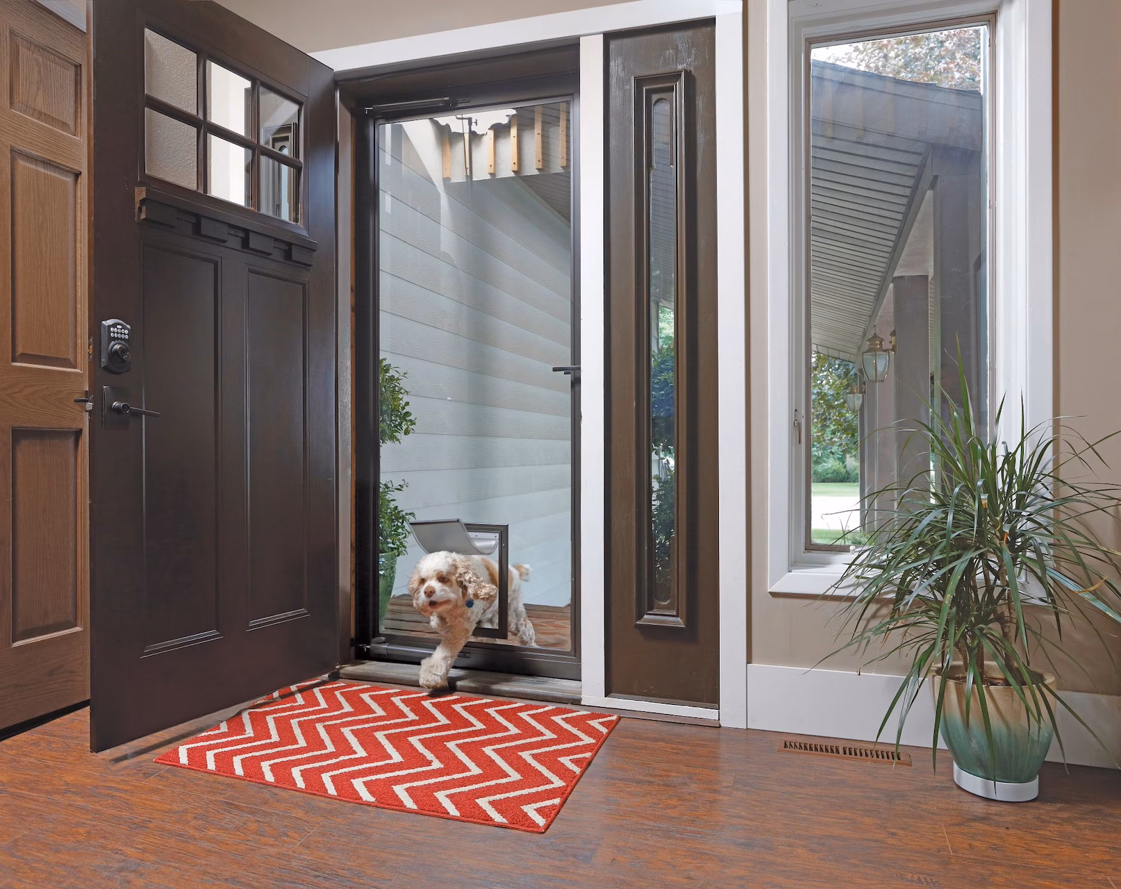 Pick An Entry Door That Survives Storms And Scratching Paws